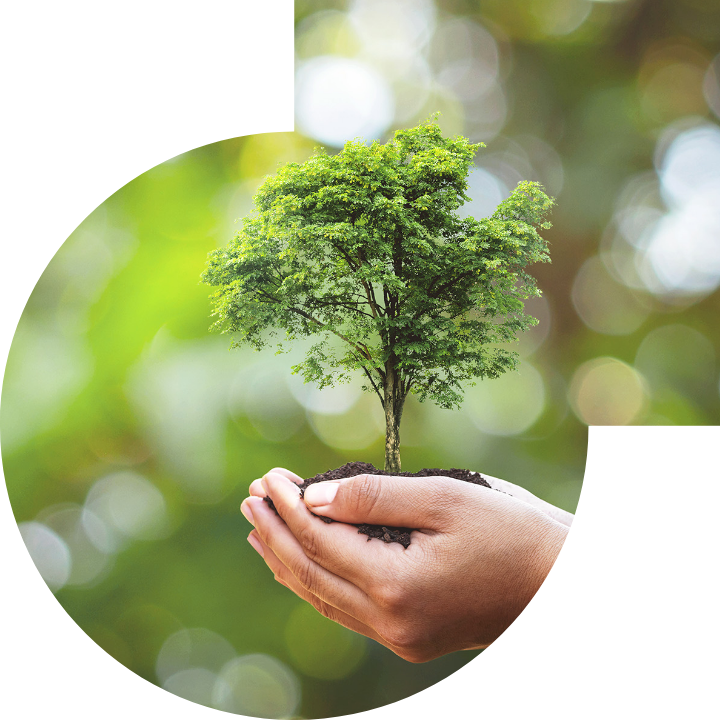 关怀人类、文化、环境与社会